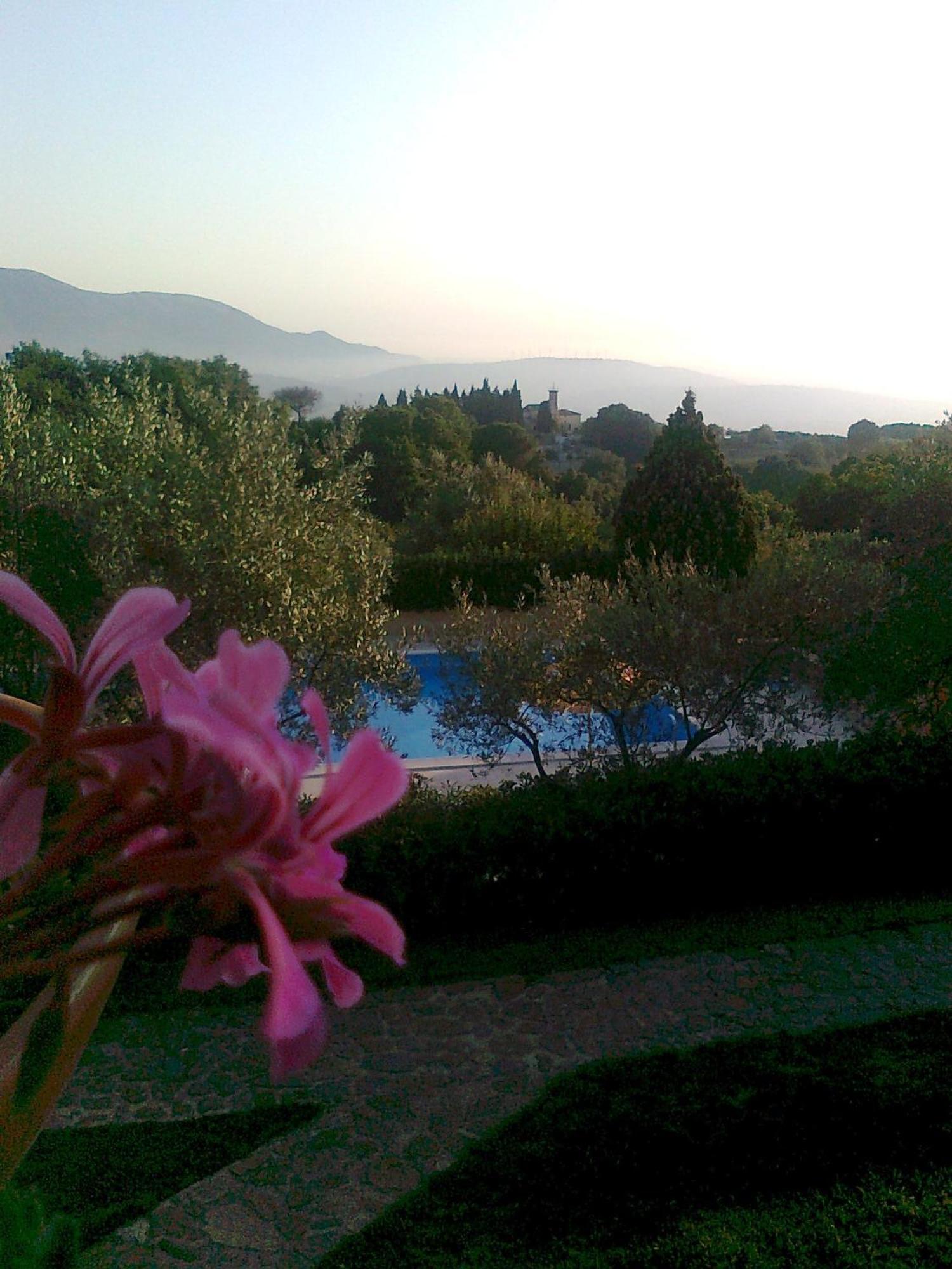 Casale Degli Ulivi Prestige Bed & Breakfast Altavilla Silentina Dış mekan fotoğraf