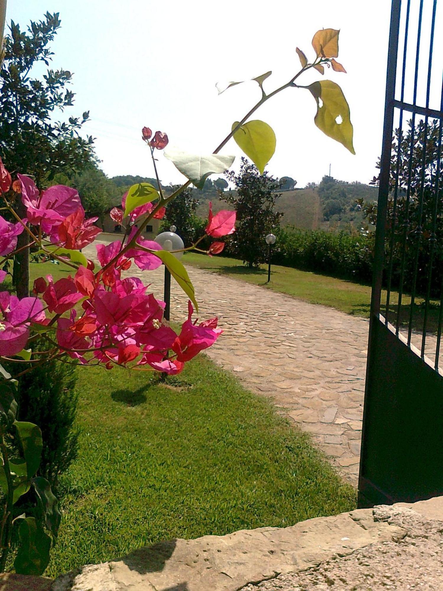 Casale Degli Ulivi Prestige Bed & Breakfast Altavilla Silentina Dış mekan fotoğraf